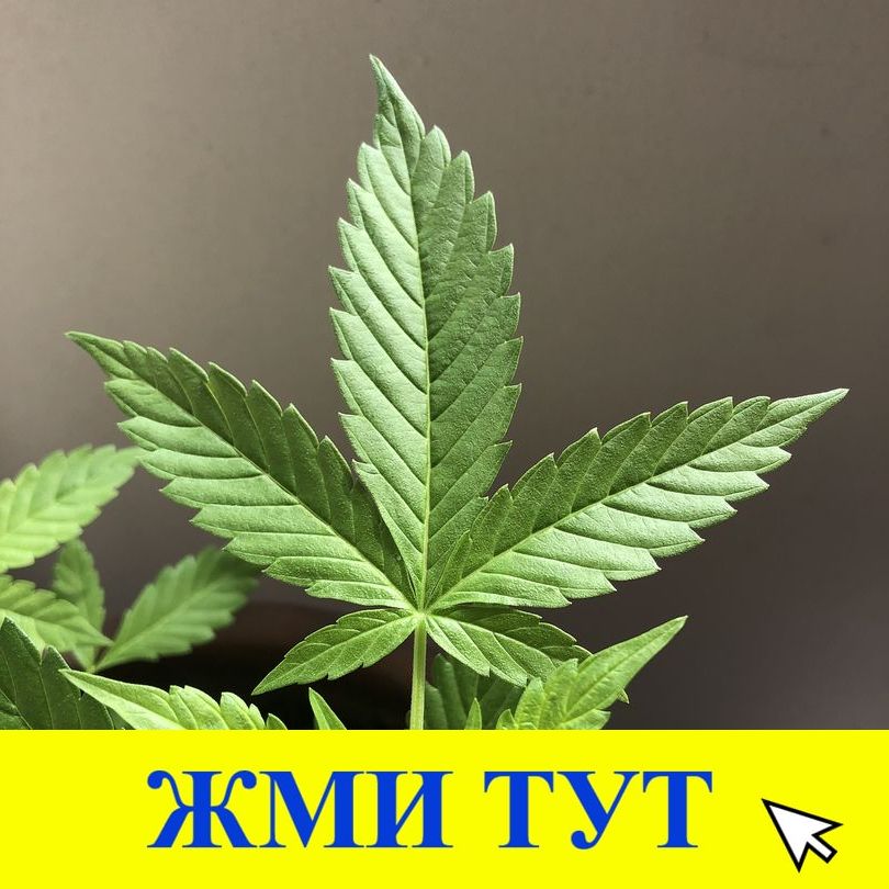 Купить наркотики в Челябинске